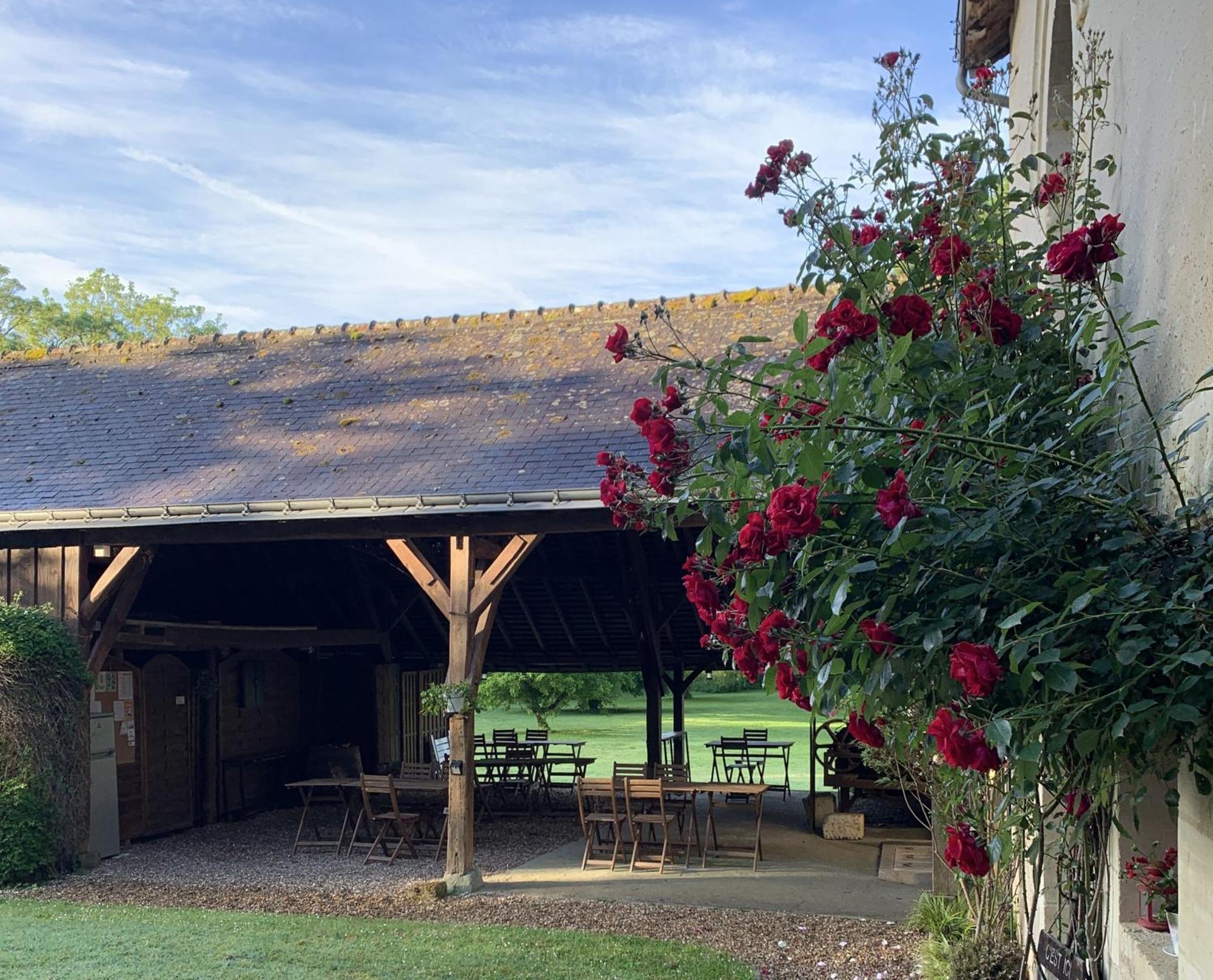 Chambre D'Hotes Le Moulin Des Landes Vernou-sur-Brenne Exterior foto